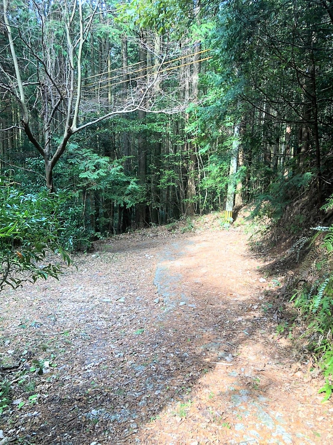 ふれんず 福岡市早良区の売地 売土地 検索結果