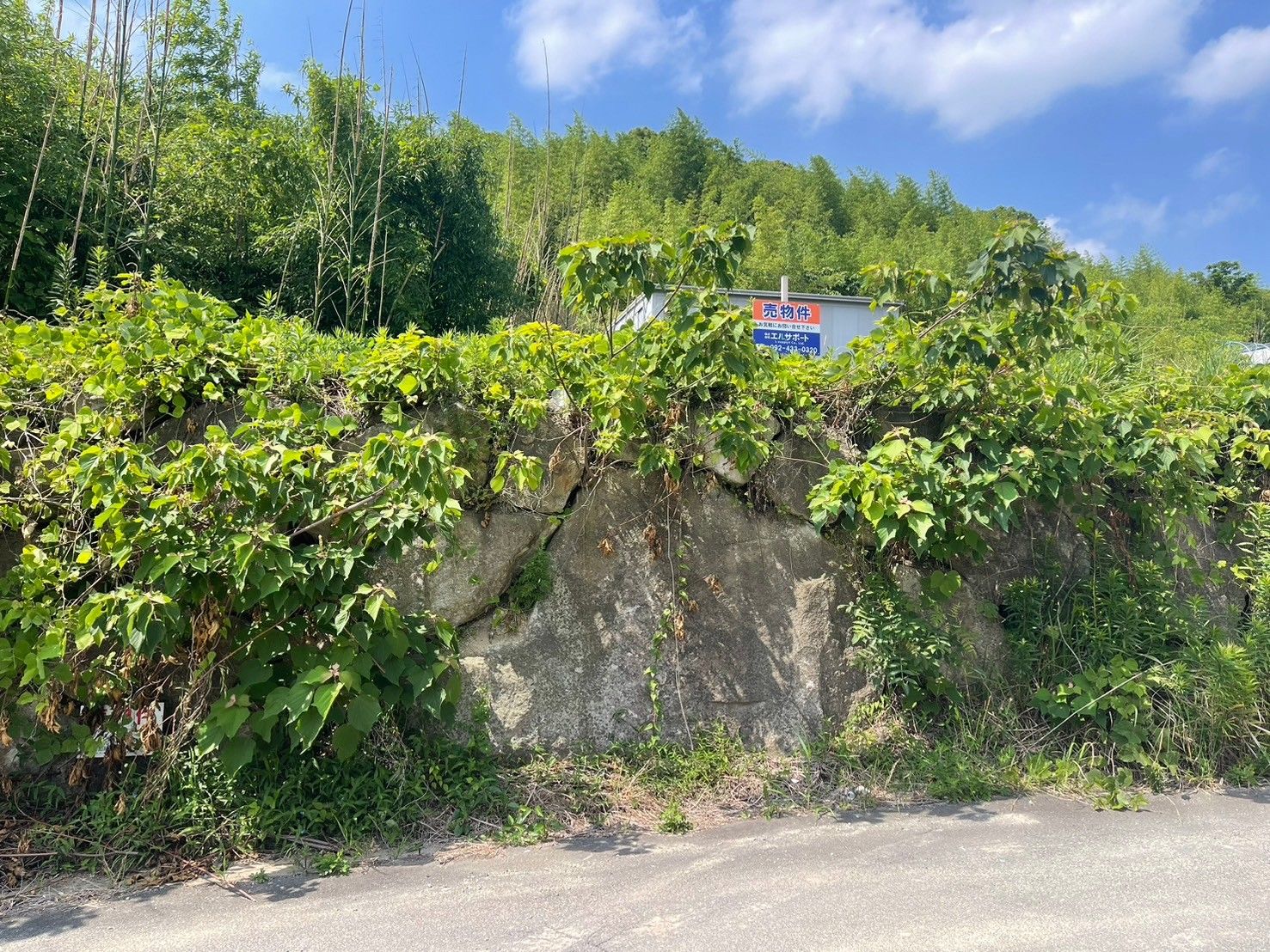 ふれんず｜福岡市東区、福岡市博多区、福岡市中央区、福岡市南区、福岡市西区の売地（売土地）検索結果